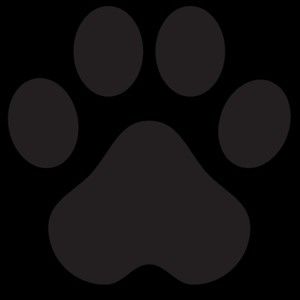 Meet your Posher, Rosemarie